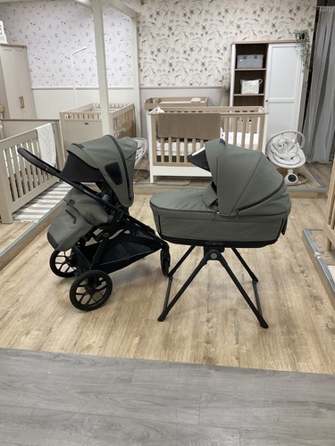 Ingelsina aptica pram and - ingelsina,