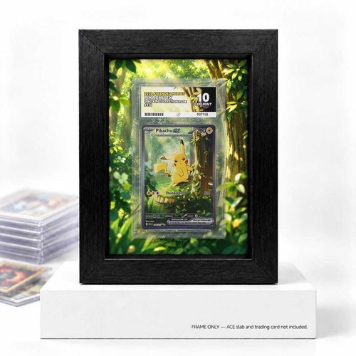Pikachu ascended heroes - ex,