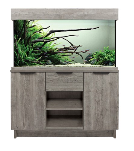 Display aqua one - aqua, oakstyle